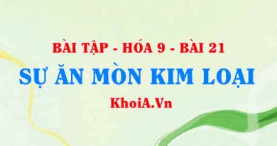 Bài tập Sự ăn mòn Kim loại: Giải bài 1, 2, 3, 4, 5 trang 67 SGK Hóa 9 bài 21